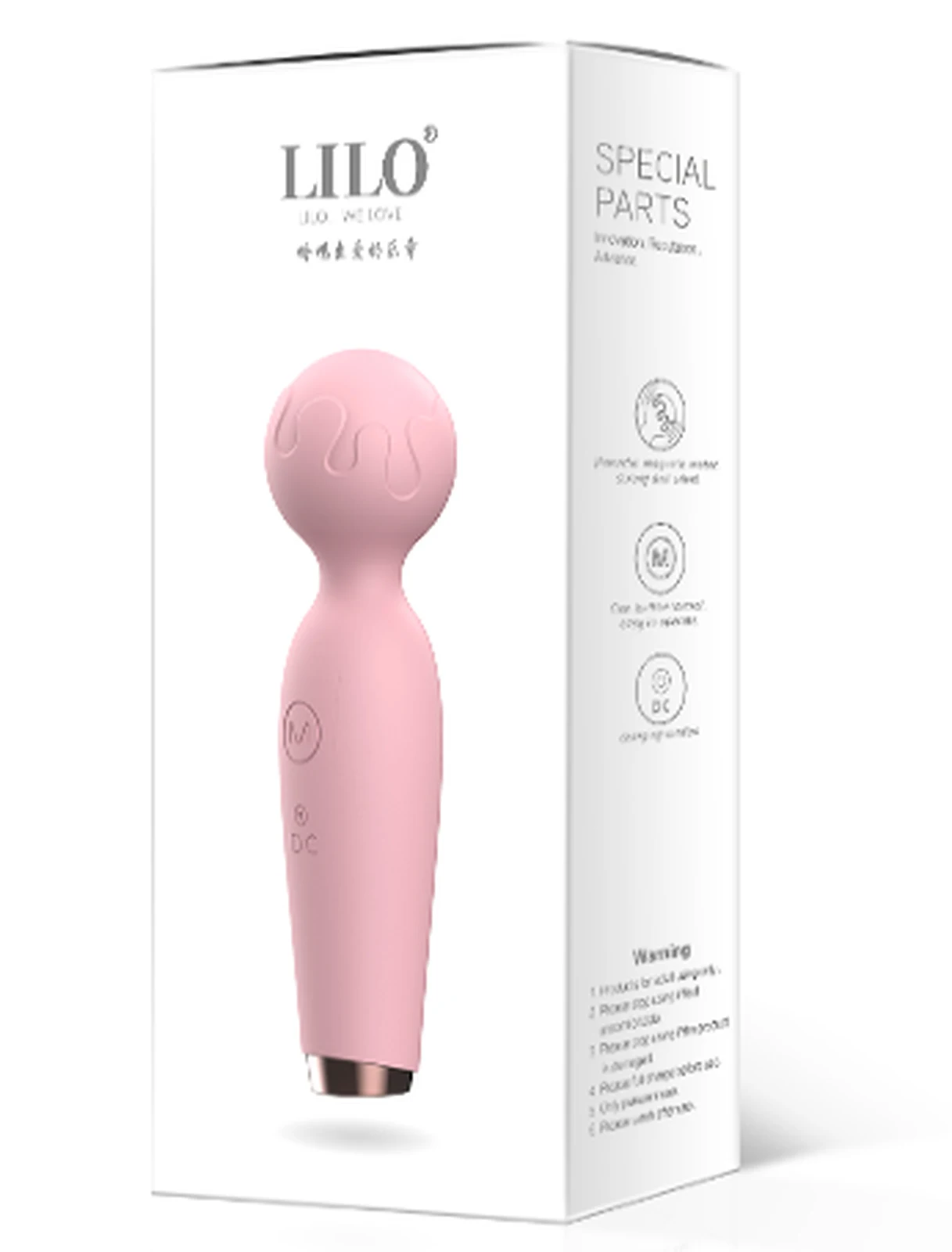 Laile small microphone rechargeable version