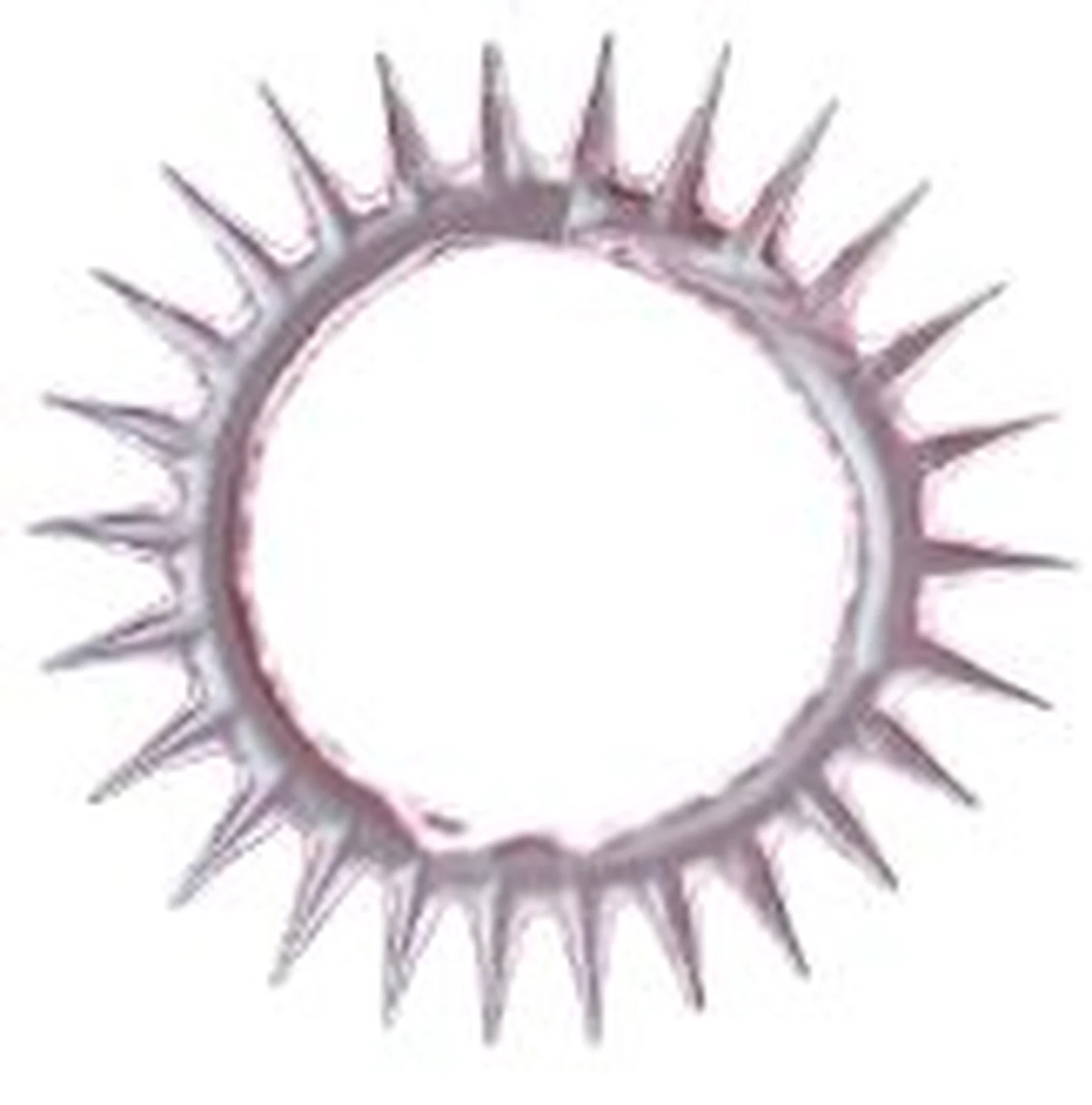 Mysterious Sheep Eye Circles and Semen Locking Ring