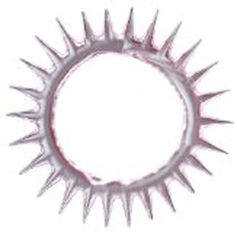 Mysterious Sheep Eye Circles and Semen Locking Ring, photo 1