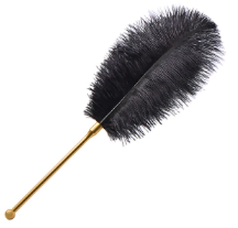 Jissbon Bliss Feather Stick, photo 1